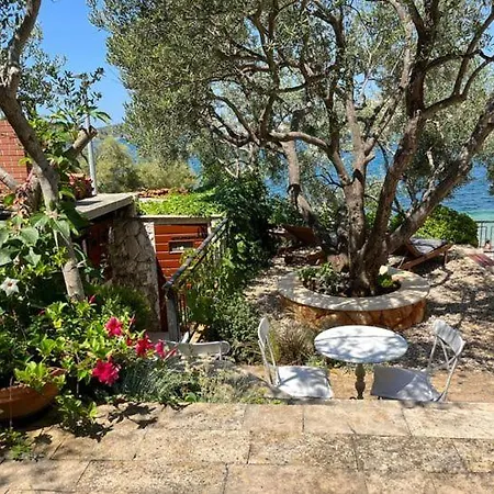 Roza Rogoznica (Sibenik-Knin)