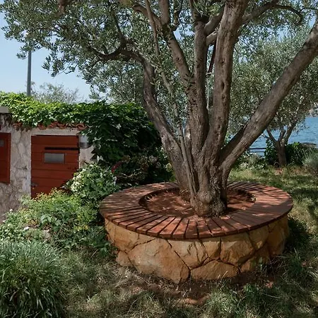 Roza * Rogoznica (Sibenik-Knin)