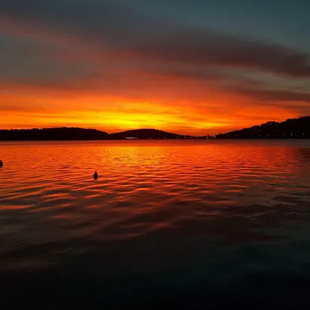 Roza * Rogoznica (Sibenik-Knin)