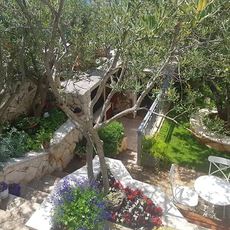 Roza Apartament *