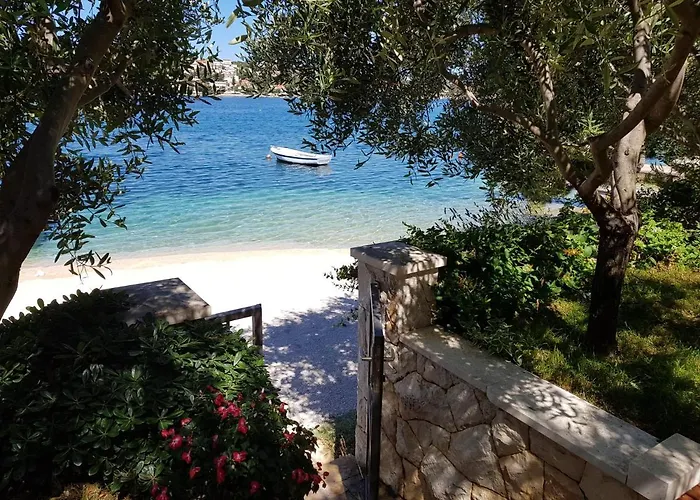 Roza * Rogoznica (Sibenik-Knin)