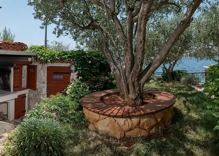 Roza * Rogoznica (Sibenik-Knin)