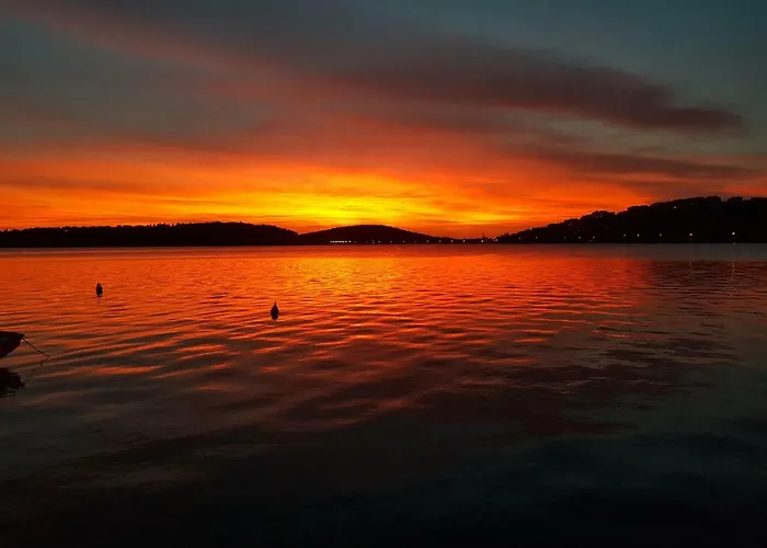 Roza * Rogoznica (Sibenik-Knin)